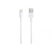 Apple Lightning auf USB Kabel (1 m) 