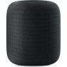 Apple HomePod schwarz (MQHW2D/A)